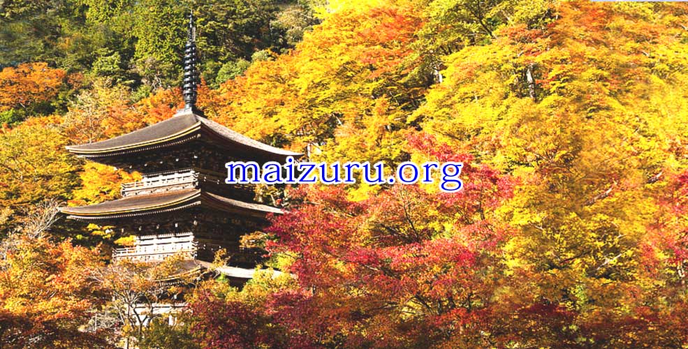 maizuru.org